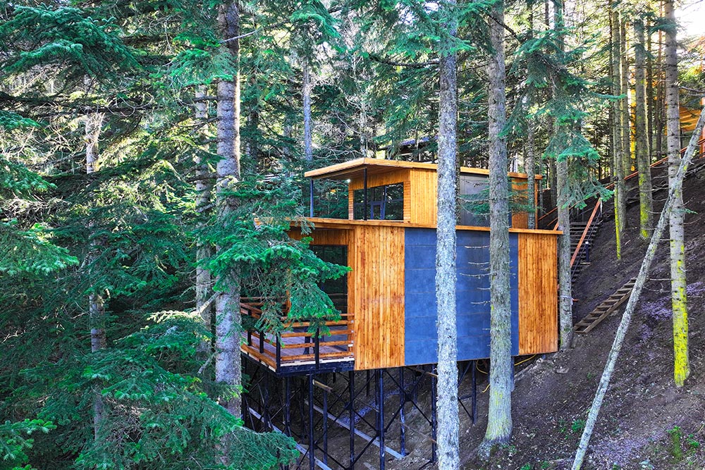 Отель Монте Виера парк Архыз